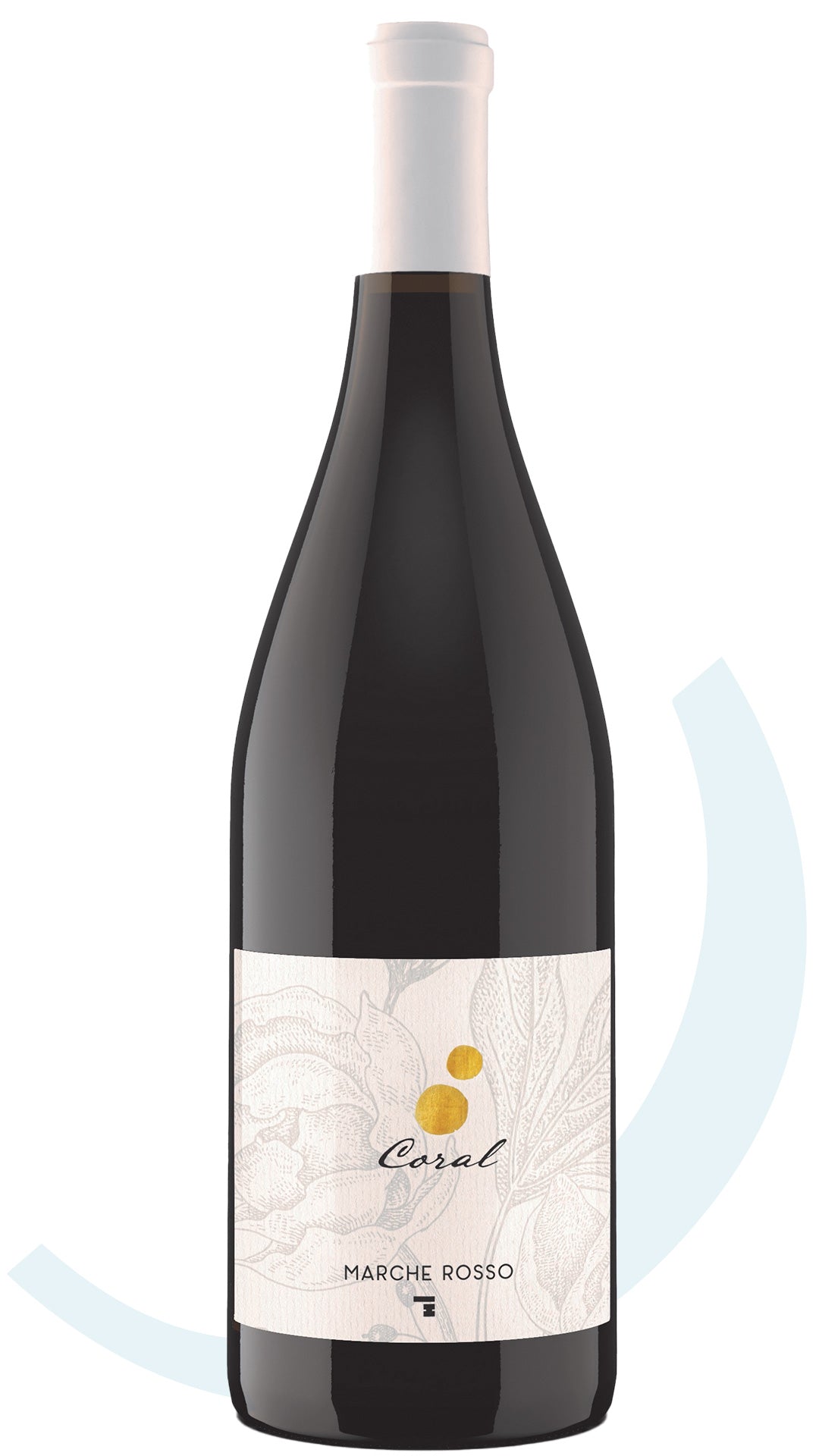 Organic Marche Rosso IGT Coral 2021 red wine from Marche, Italy – available in Toronto & Ontario