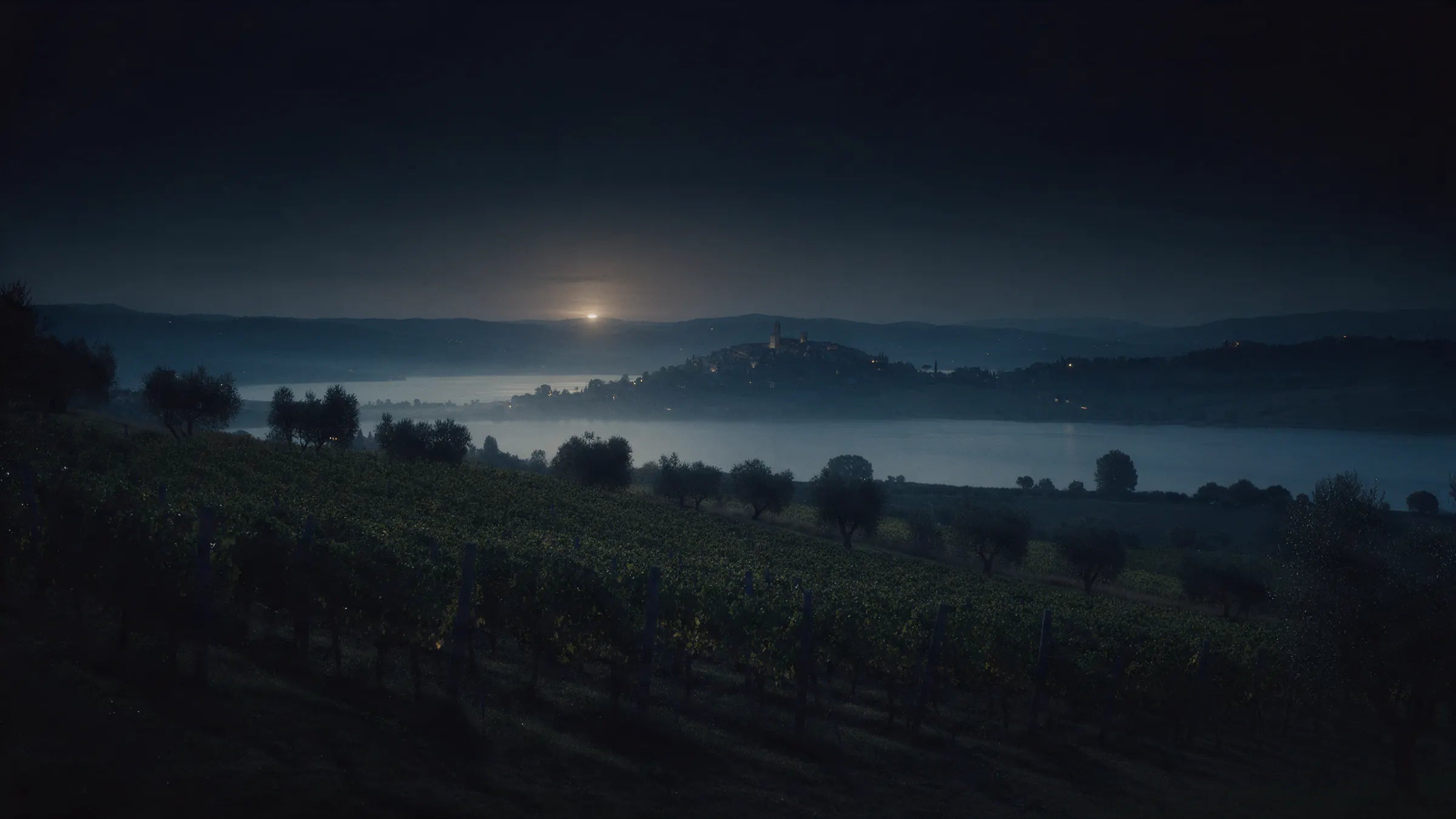 Vine rows on a hillside falling toward a lake at dusk, a hilltop village across the water