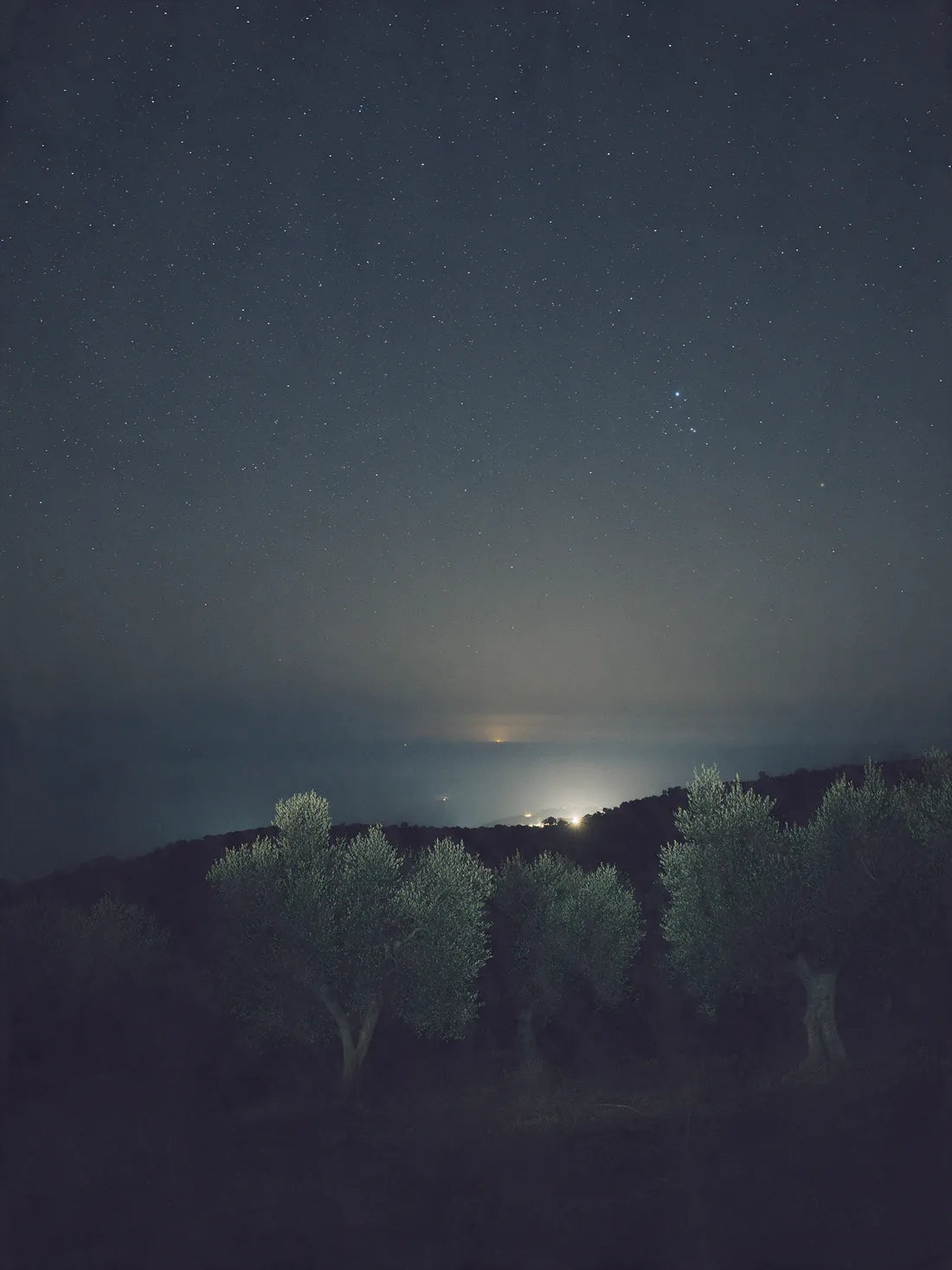 A clear night sky over a dark ridge of olive trees